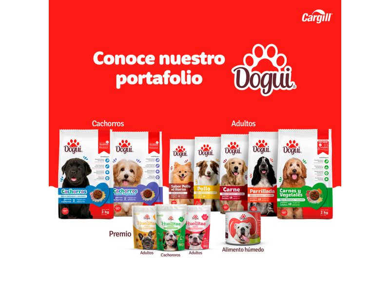 Alimento-Dogui-Perro-Cachorro-2-A-18-Meses-18Kg-6-16933