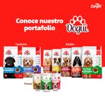 Alimento-Dogui-Perro-Adulto-Sabor-Carne-Y-Vegetales-18-Meses-En-Adelante-18Kg-5-14854