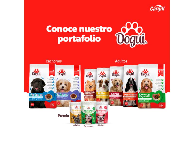 Alimento-Dogui-Perro-Adulto-Sabor-Carne-Y-Vegetales-18-Meses-En-Adelante-18Kg-5-14854