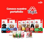 Alimento-Dogui-Perro-Adulto-Sabor-Carne-Y-Vegetales-18-Meses-En-Adelante-18Kg-6-14854