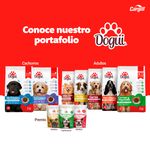 Alimento-Dogui-Para-Perro-Cachorro-2-A-18-Meses-4kg-5-2980