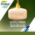 Jab-n-De-Ba-o-Protex-Avena-Prebi-tico-En-Barra-110g-3Uds-4-2142