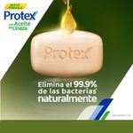 Jabon-Corporal-Protex-Fresh-110-g-6-Pack-4-10054