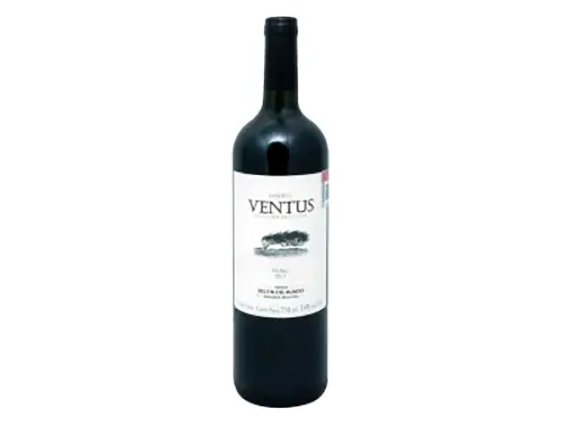 Vino-Tinto-Ventus-Malbec-750ml-1-27819