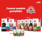 Alimento-Dogui-Perro-Adulto-Sabor-Parillada-18-Meses-En-Adelante-2kg-6-6792