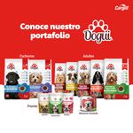 Alimento-Dogui-Perro-Adulto-Sabor-Parillada-18-Meses-En-Adelante-2kg-7-6792