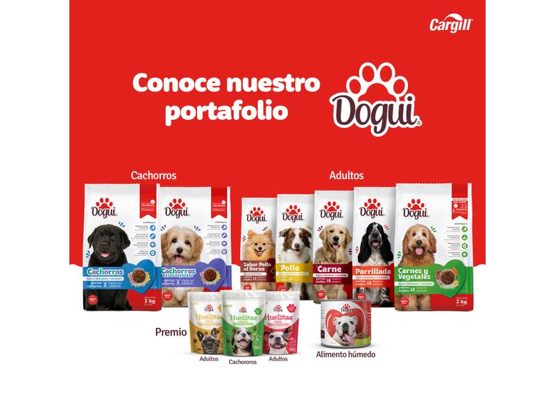 Alimento-Dogui-Perro-Adulto-Sabor-Parillada-18-Meses-En-Adelante-2kg-7-6792