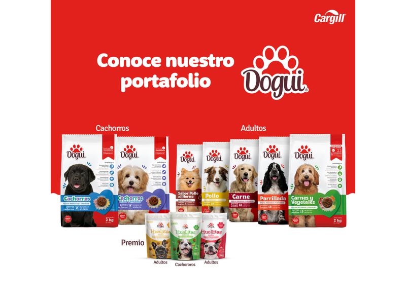 Alimento-Dogui-Perro-Adulto-Sabor-Pollo-Y-Arroz-18-Meses-En-Adelante-2kg-6-2993