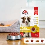 Alimento-Dogui-Perro-Adulto-Sabor-Pollo-Y-Arroz-18-Meses-En-Adelante-2kg-8-2993