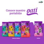 Alimento-Gati-para-Adulto-Sabor-Pollo-1000-Gr-7-33037