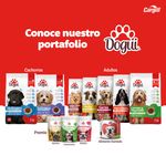 Comida-Dogui-Prro-Perro-Adulto-Sabor-Pollo-Carne-Y-Vegetales-18-Meses-En-Adelante-2kg-6-15973