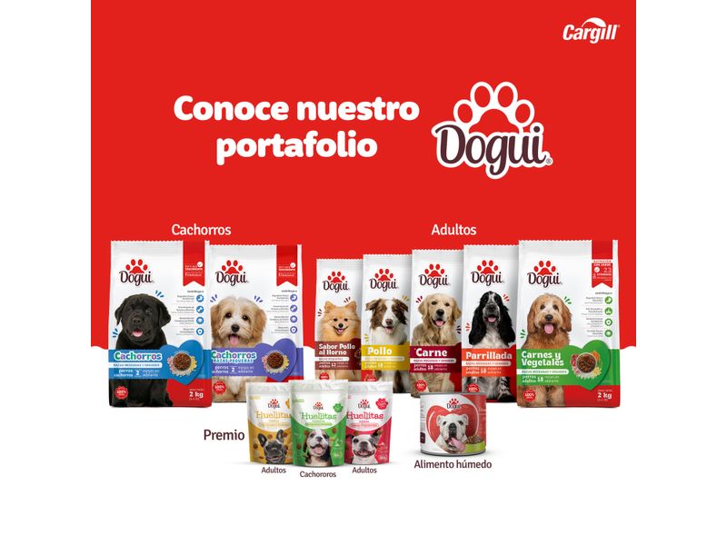 Comida-Dogui-Prro-Perro-Adulto-Sabor-Pollo-Carne-Y-Vegetales-18-Meses-En-Adelante-2kg-6-15973