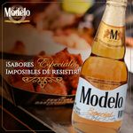 Cerveza-Modelo-Especial-Botella-355ml-5-159