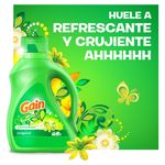 Det-Gain-Liquido-Original-1360ml-5-32887