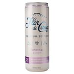 Fdc-Premium-Seltzer-Tropical-Berry-355ml-1-34828