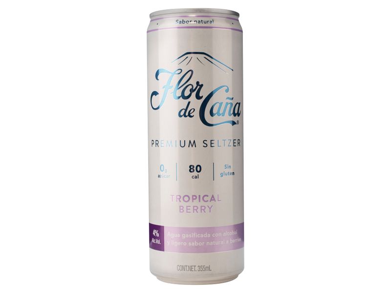 Fdc-Premium-Seltzer-Tropical-Berry-355ml-1-34828