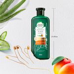 Shampoo-Herbal-Essences-Bio-Renew-6X-Aloe-Mango-Protege-Repara-400-ml-3-14945