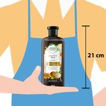 Shampoo-Herbal-Essences-Bio-Renew-Coconut-Milk-400ml-3-2159