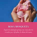 Acondicionador-Herbal-Essences-Suavidad-Rosa-Mosqueta-400-ml-6-22490