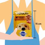 Pouch-Pedigree-Adulto-Cordero-100gr-4-32746