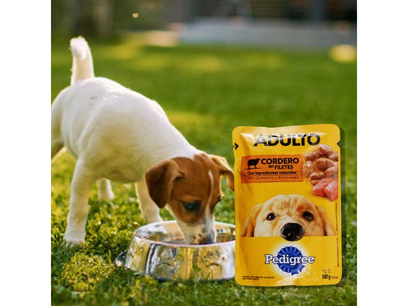 Pouch-Pedigree-Adulto-Cordero-100gr-5-32746