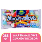 Marsmelos-Marca-Guandy-Bicolor-255g-1-3355