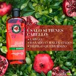 Shampoo-Herbal-Essences-Pelo-Largo-Granada-Prote-na-Vegana-400-ml-5-23072