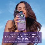 Shampoo-Herbal-Essences-Anti-Frizz-Lavanda-Aceite-de-Almendras-400-ml-7-23070