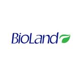 Gel-Fijador-BioLand-Control-Ca-da-Fijaci-n-Fuerte-Romero-375ml-6-16338