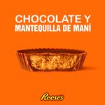 Reeses-2-Cup-Chocolate-42Gr-6-31570