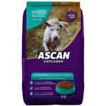 Alimento-Para-Perro-Ascan-Cachorro-1Kg-2-7857