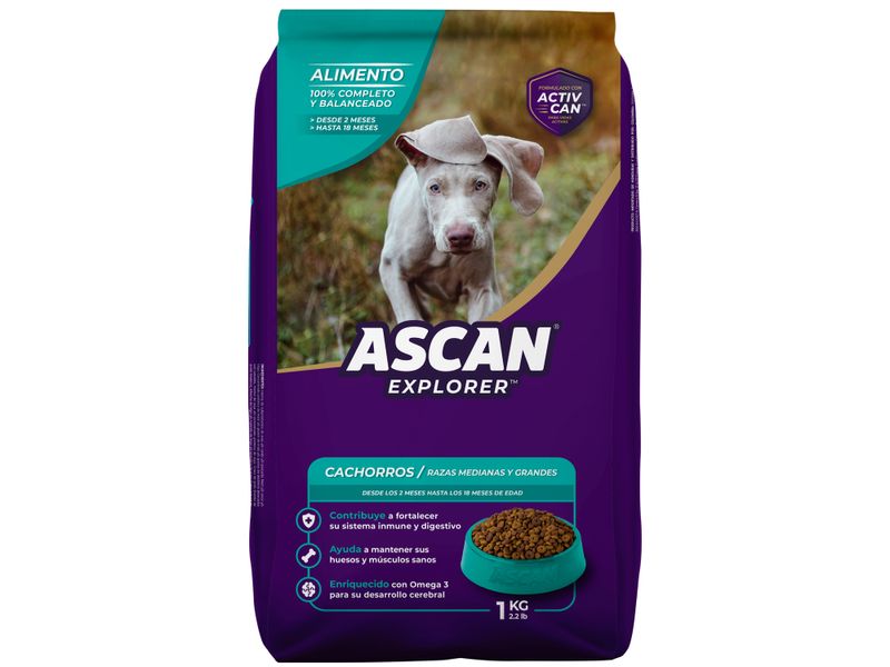 Alimento-Para-Perro-Ascan-Cachorro-1Kg-2-7857