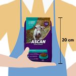 Alimento-Para-Perro-Ascan-Cachorro-1Kg-3-7857