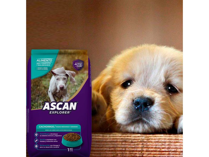 Alimento-Para-Perro-Ascan-Cachorro-1Kg-4-7857