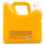 Detergente-Liq-Gv-Con-Bicarbonato-7000ml-3-30071