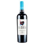 Vino-Tinto-Desden-Cabernet-Sauvign-750ml-2-35244