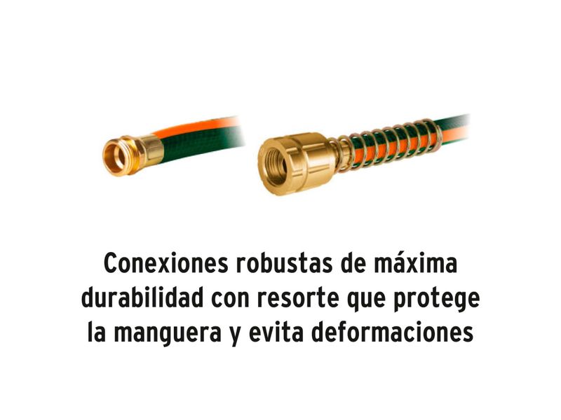 31556_05.jpg