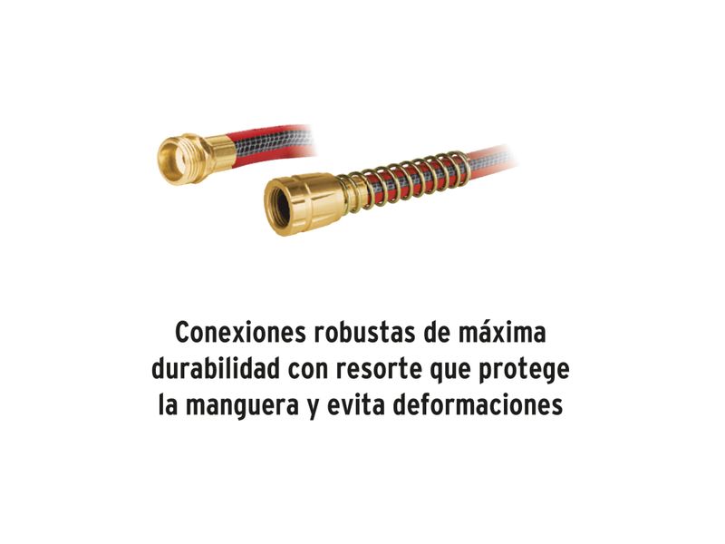 31559_06.jpg