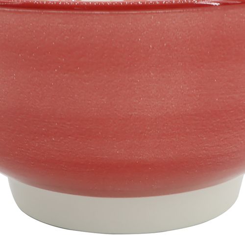 Hs Bowl De Porcelana 6 25 Diseno Rojo