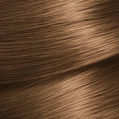 Tinte para el cabello Permanente Garnier Nutrisse Capuccino 60
