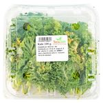 Kale-Hortifruti-1-25676