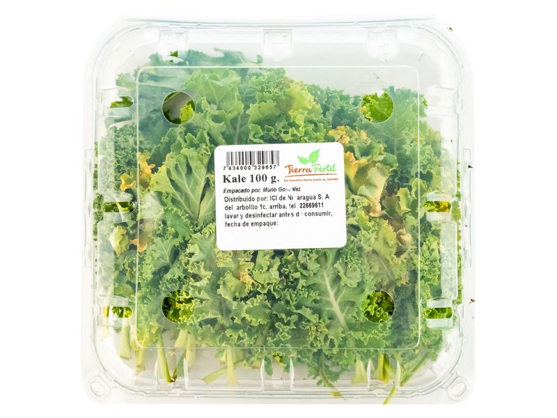 Kale-Hortifruti-1-25676