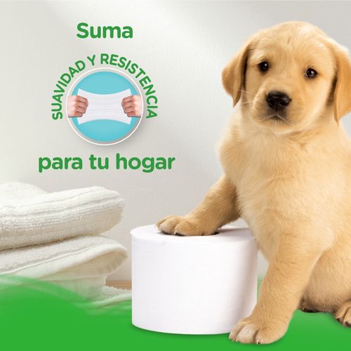 Papel Higiénico Scott 2 en 1 Doble Hoja - 24 Rollos
