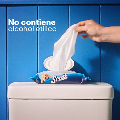 Papel Higiénico Húmedo Scott - 144 Unidades
