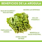 Arrugula-Arugula-Hortifruti-6-25673