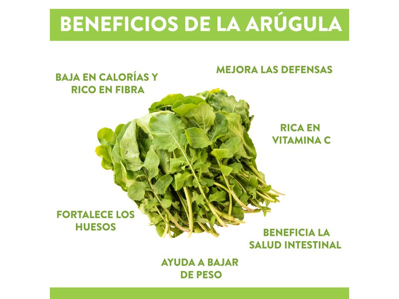 Arrugula-Arugula-Hortifruti-6-25673