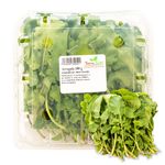 Arrugula-Arugula-Hortifruti-1-25673