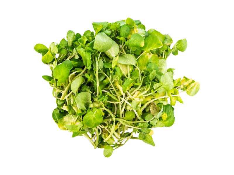 GTIN-7434000329589-04