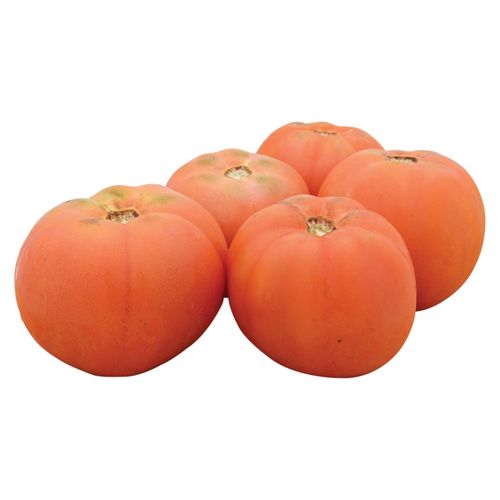 Tomate Manzano Hortifruti - Aproximadamente De 2 A 3 Unidades Por lb.