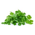 Cilantro-2-28129